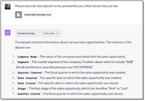 ChatGPT describing a sales dataset, listing columns like Company Name, Segment, and Stage