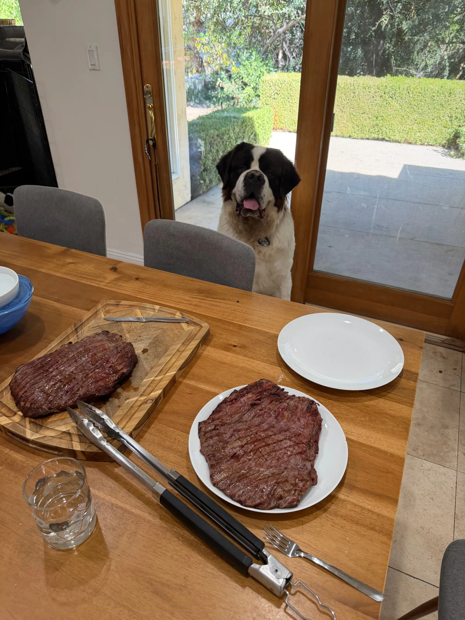 Magnus, a Saint Bernard, stands at the end of a wooden dining table with his tongue out, watching two grilled flank steaks, one on a cutting board and one on a plate.