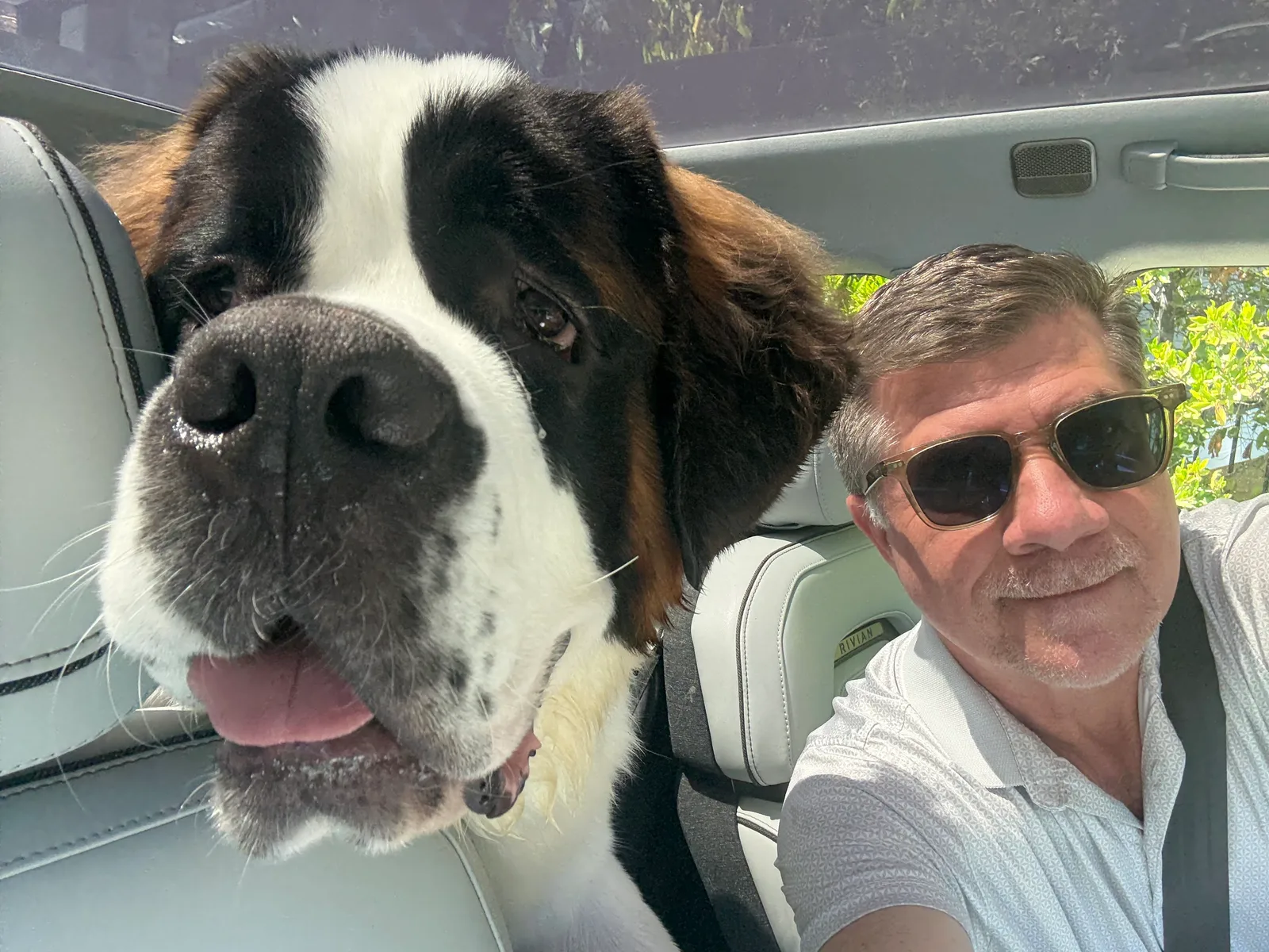 Man in sunglasses takes a car selfie with a large Saint Bernard dog in the back seat.