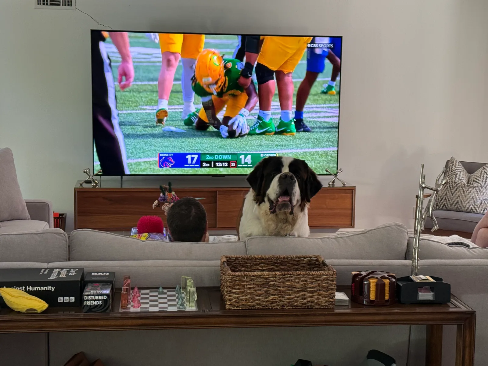 Magnus, a Saint Bernard, sits in front of a television showing the Oregon Ducks playing Boise State while Steve and his father watch from the couch.
