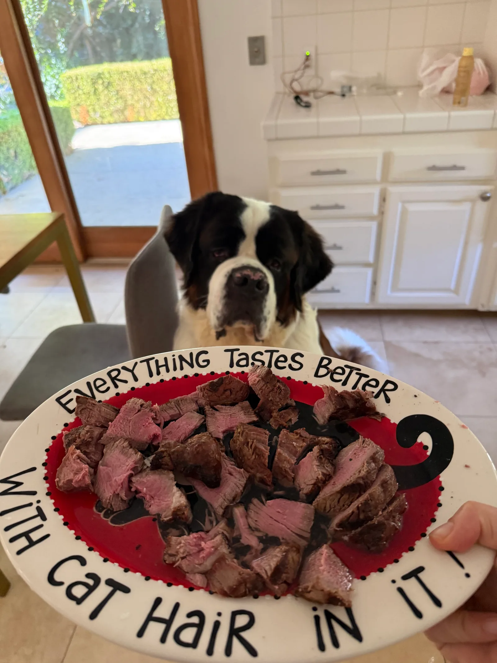 A platter of sliced steak held up in front of Magnus, who sits at the kitchen table watching it intently. Lettering around the rim of the plate reads: Everything tastes better with cat hair in it!