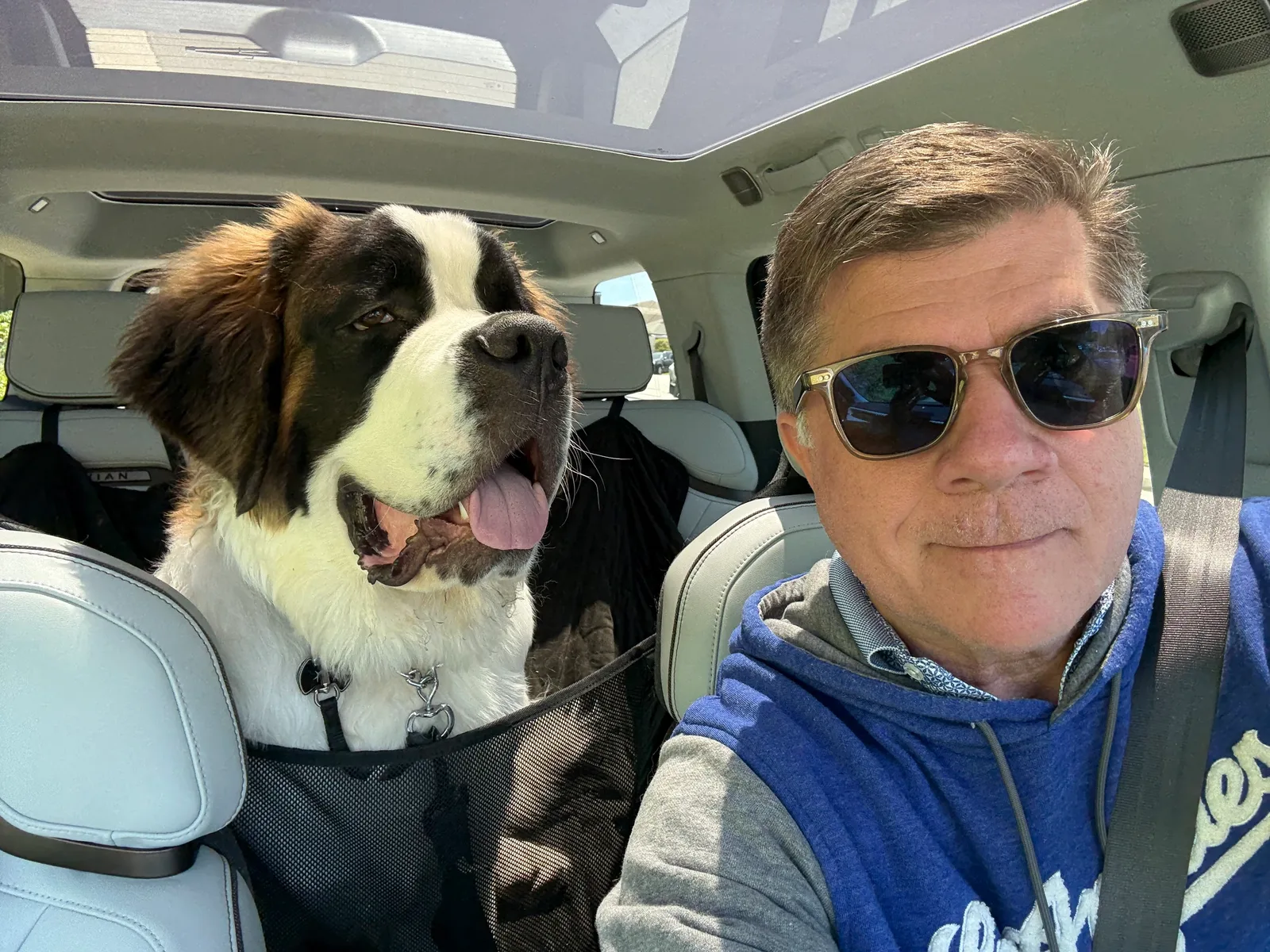 Man in sunglasses takes a selfie in a car beside a large Saint Bernard dog