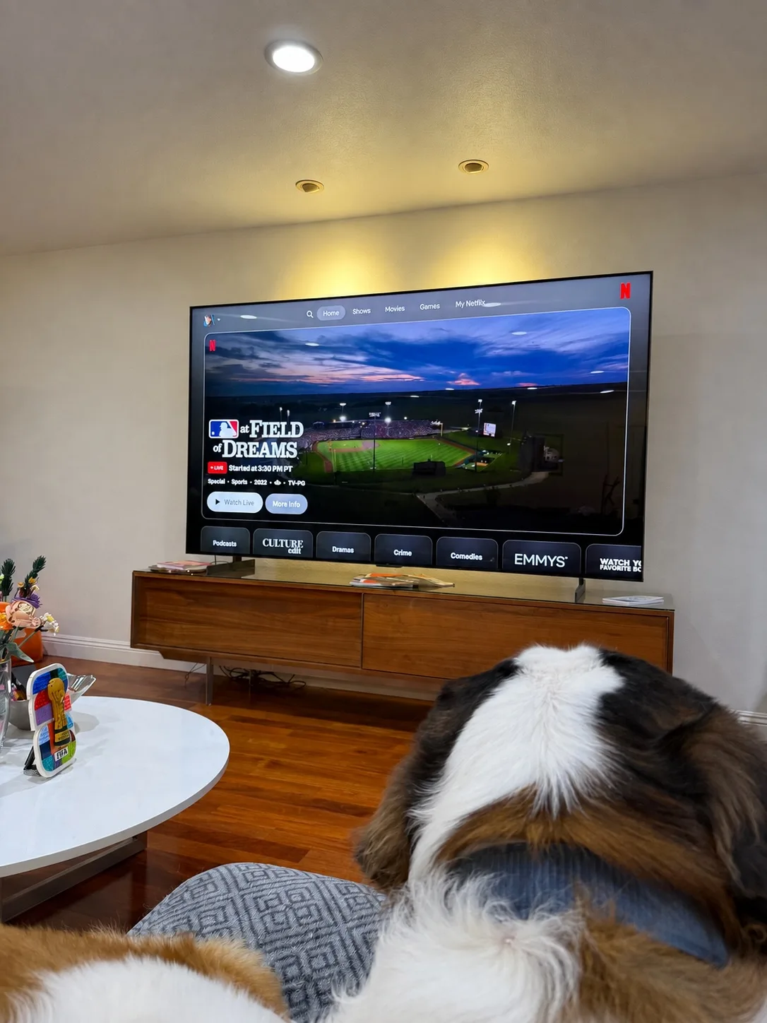 Magnus seen from behind in a living room, watching a television showing the Netflix listing for MLB at Field of Dreams, a floodlit ballpark at dusk.