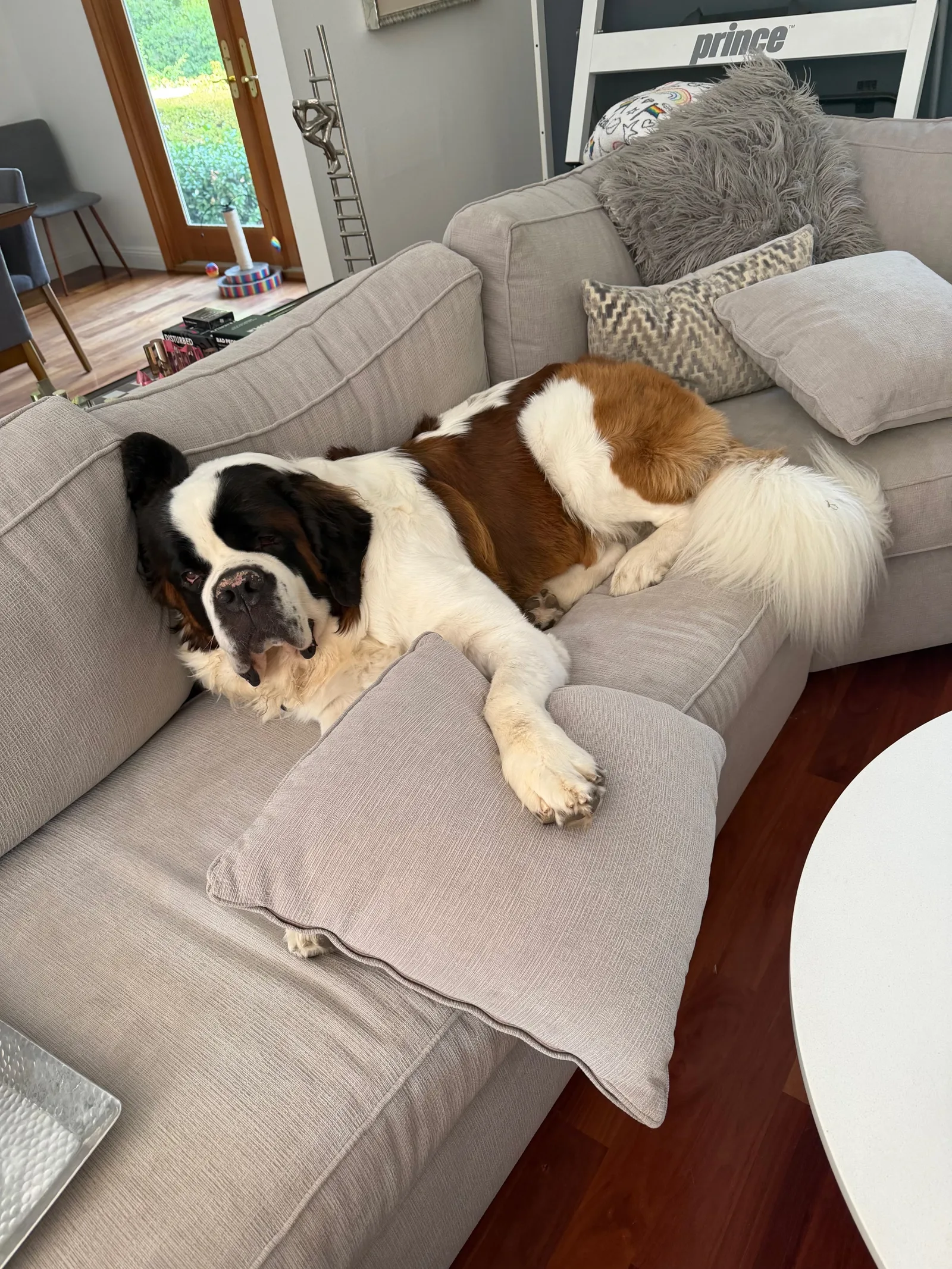 Magnus sprawled the full length of a large cream sectional, head resting against one arm and a front paw draped over a cushion, taking up nearly the entire couch.