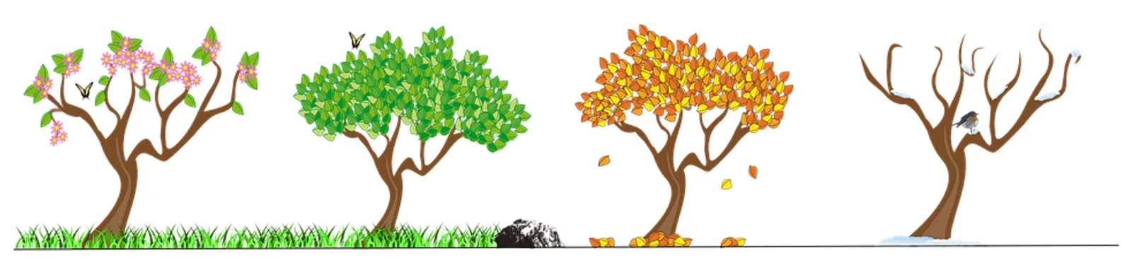 Illustration of one tree through four seasons, spring blossoms, summer green, autumn leaves, bare winter