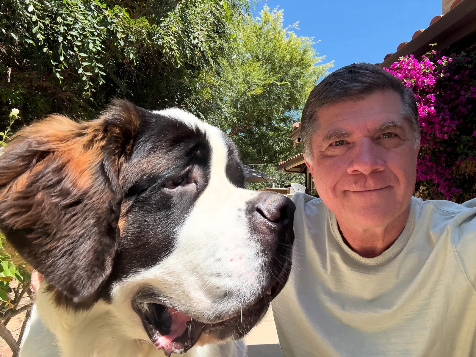 Smiling man taking a selfie outdoors beside a large Saint Bernard dog.