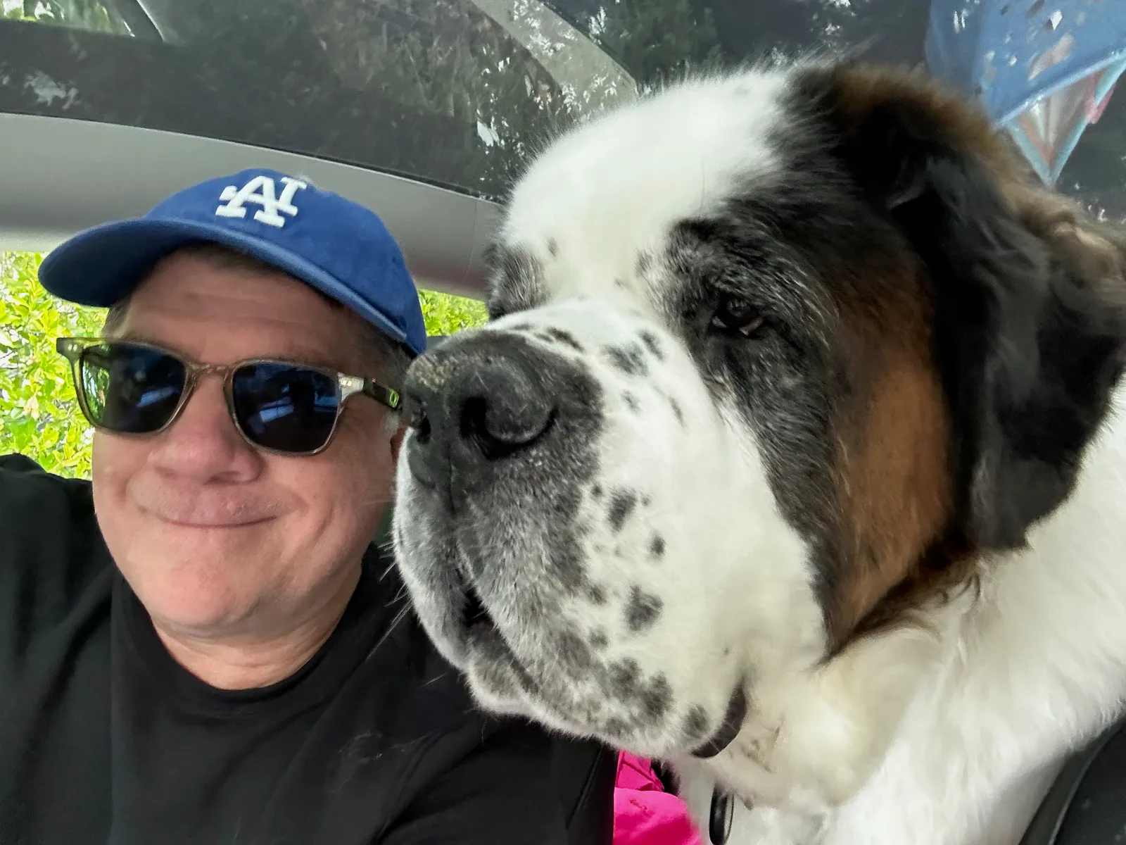 A man in a cap and sunglasses takes a car selfie with a large Saint Bernard.