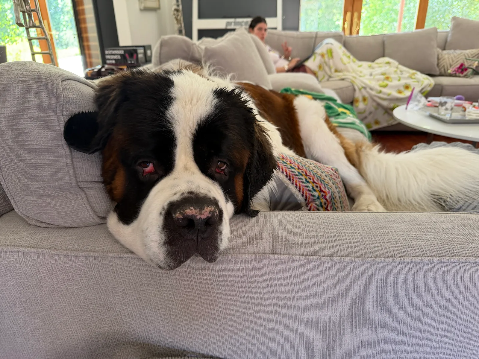 Magnus drying off on the couch after his bath, his head flopped over the back cushion and his eyes half closed, with someone relaxing on the sofa behind him.