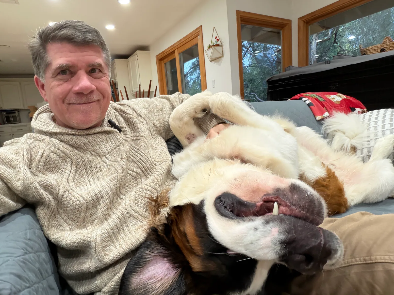 Man in a cream sweater on a couch beside a large Saint Bernard dog lying on its back.