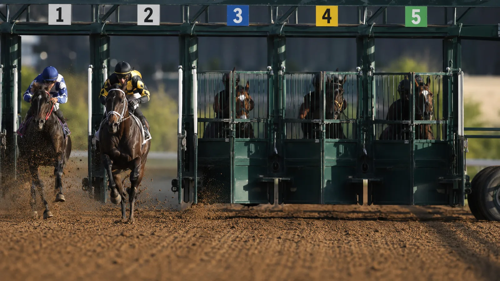 Racehorses and jockeys bursting from the numbered starting gates at a dirt track, one pair already pulling ahead.